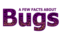 Bugs