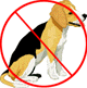 No Beagles!